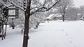 Video Dec 29, 12 38 40 PM